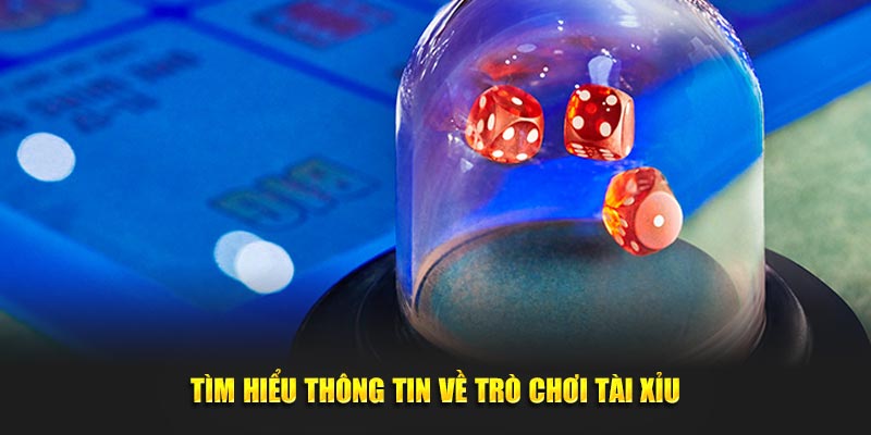 Tìm hiểu thông tin về trò chơi tài xỉu