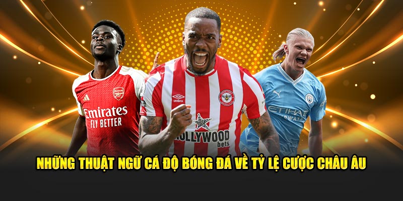 Những thuật ngữ cá độ bóng đá về tỷ lệ cược Châu Âu